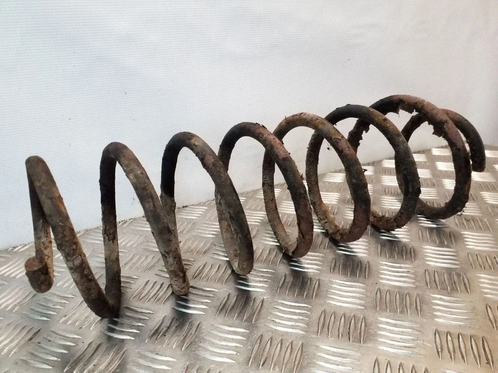 Front coil spring