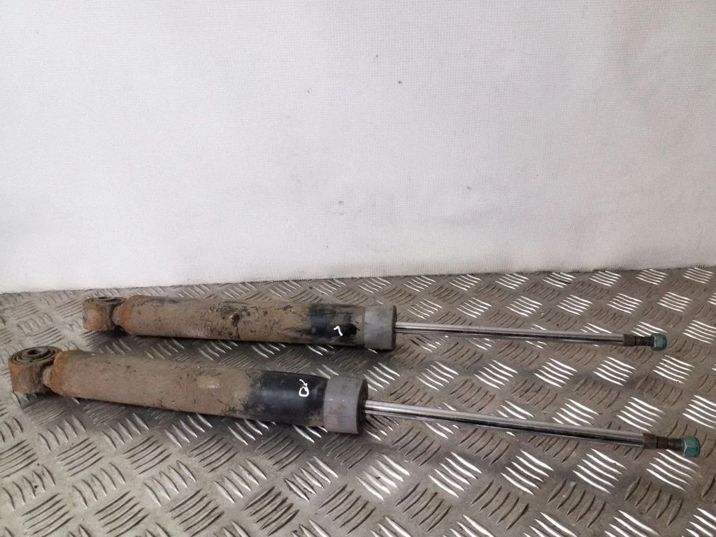 Rear shock absorber/damper