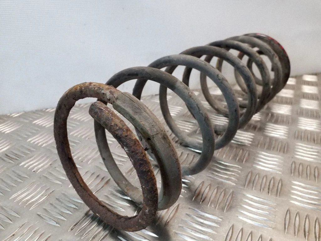 Rear coil spring