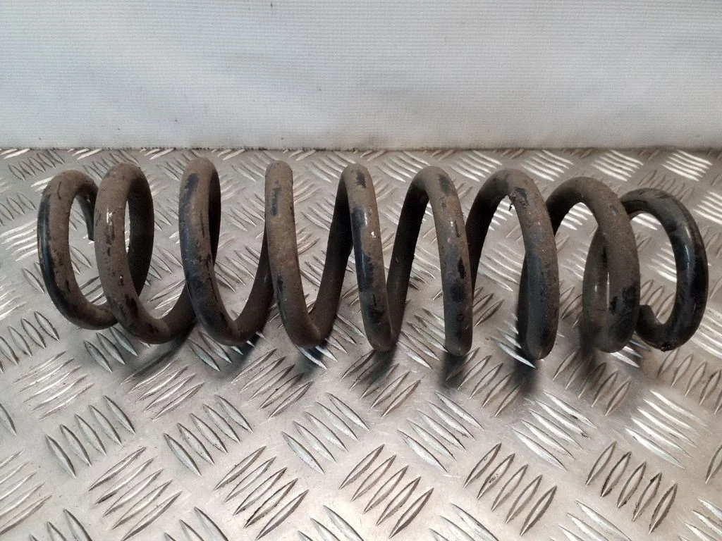 Rear coil spring