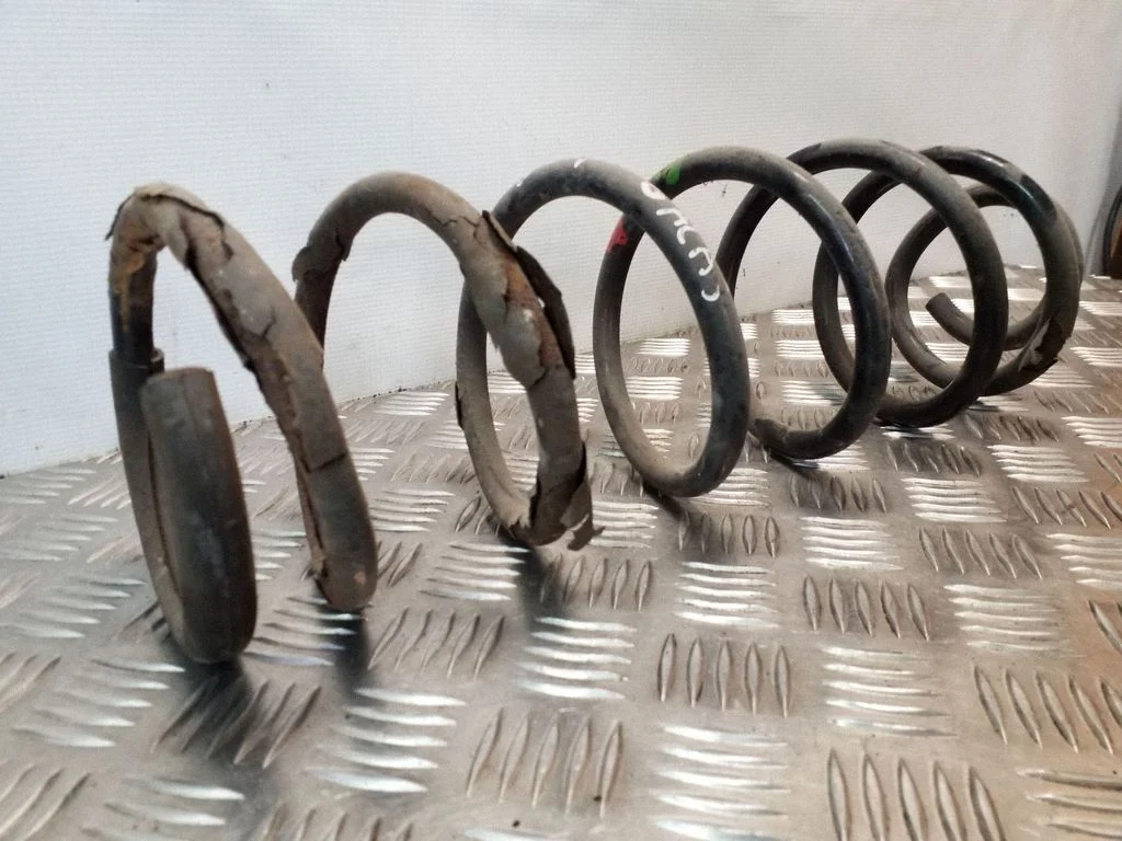Rear coil spring