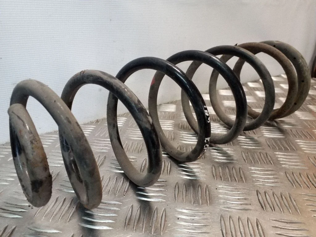Rear coil spring