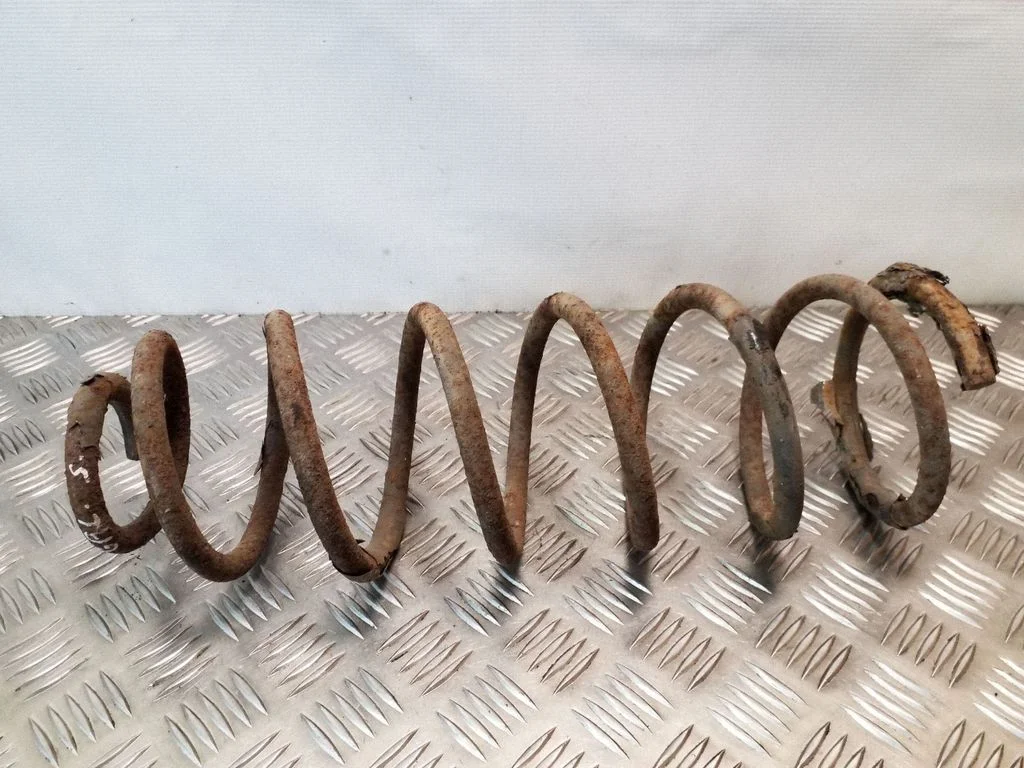 Rear coil spring