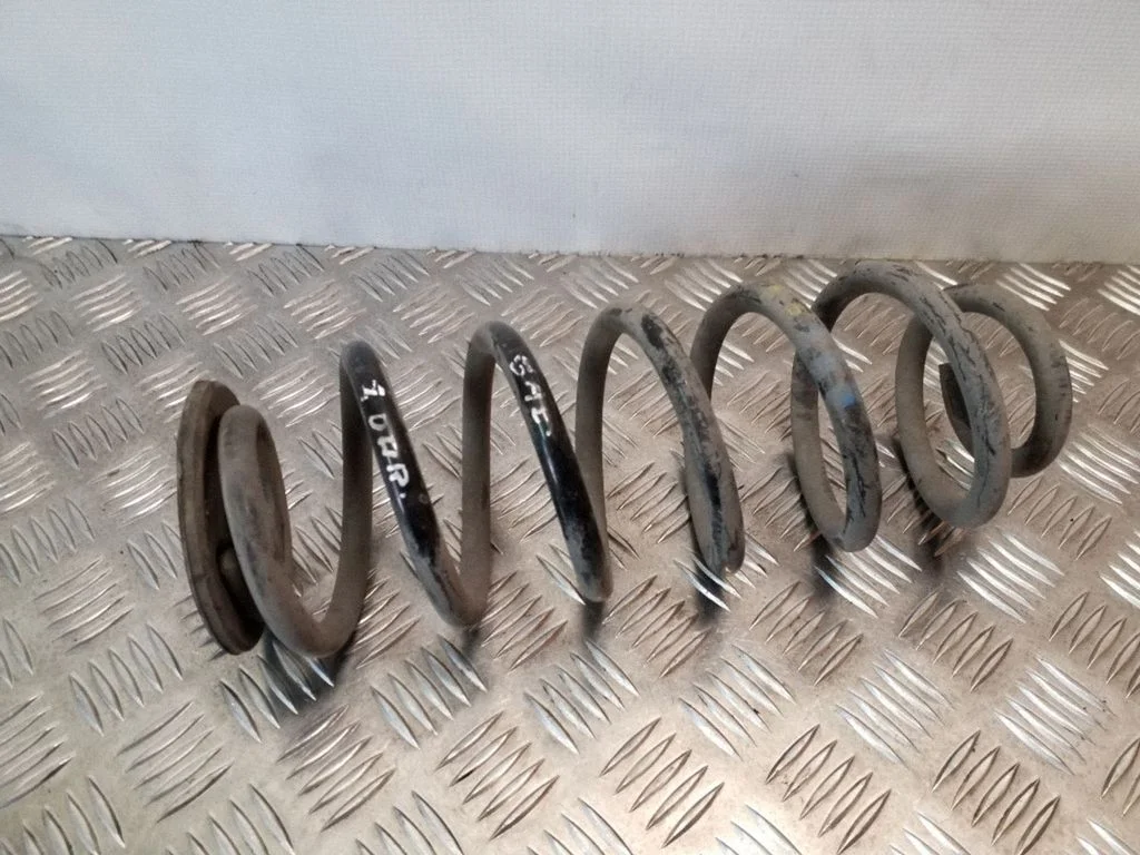 Rear coil spring