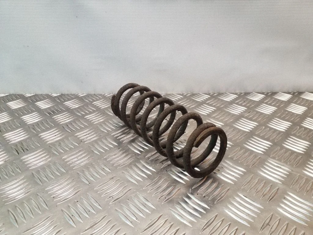 Rear coil spring