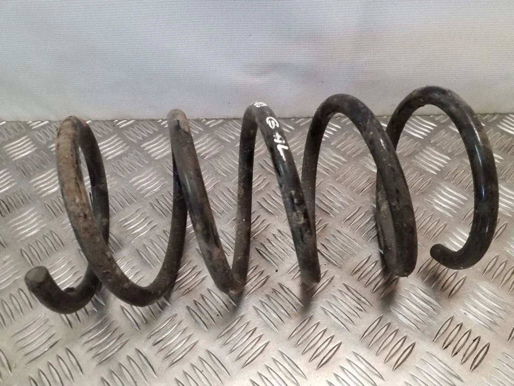 Rear coil spring