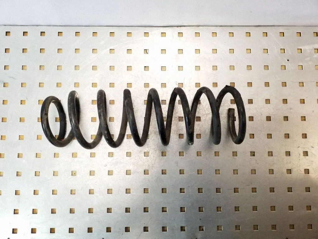 Rear coil spring