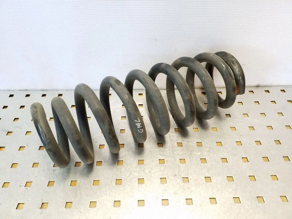 Rear coil spring