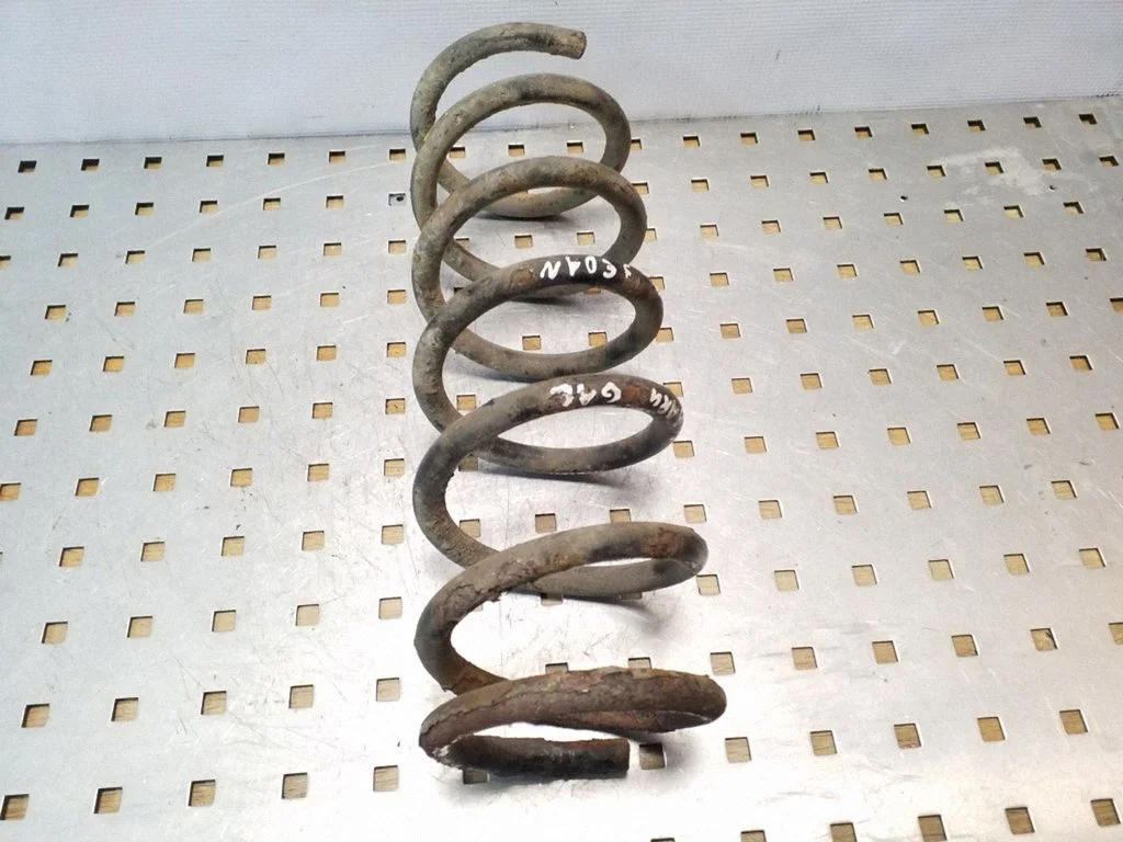 Rear coil spring