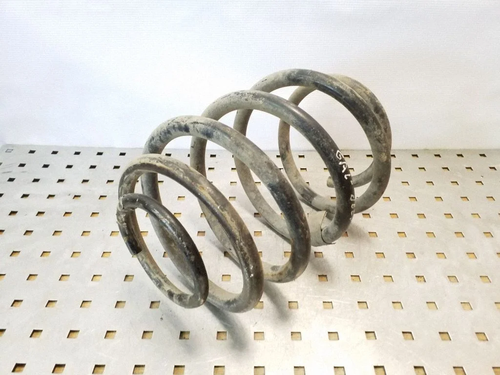 Rear coil spring