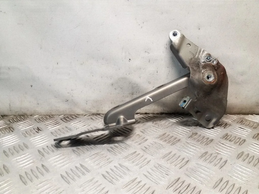 Motora pārsega eņģe (-es) 13269758