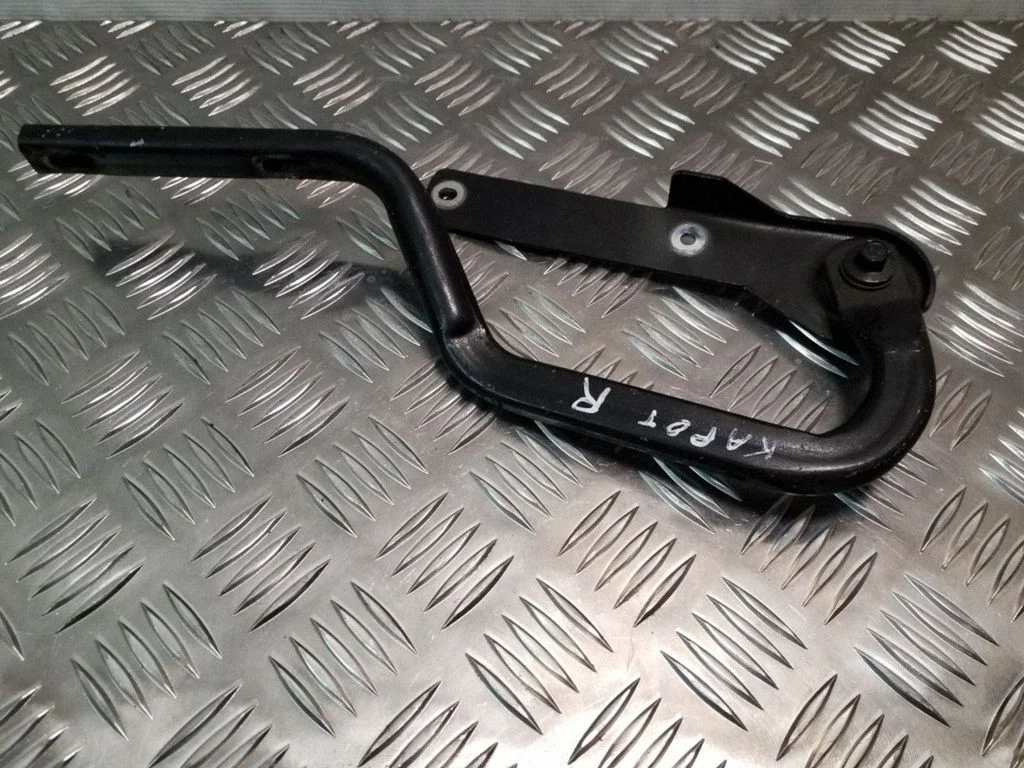 Vyris (-iai) variklio dangčio