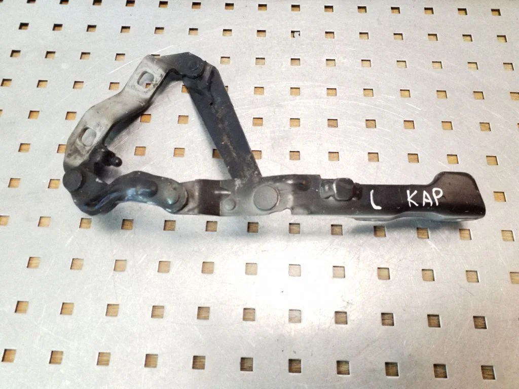 Motora pārsega eņģe (-es) 1C0823301G