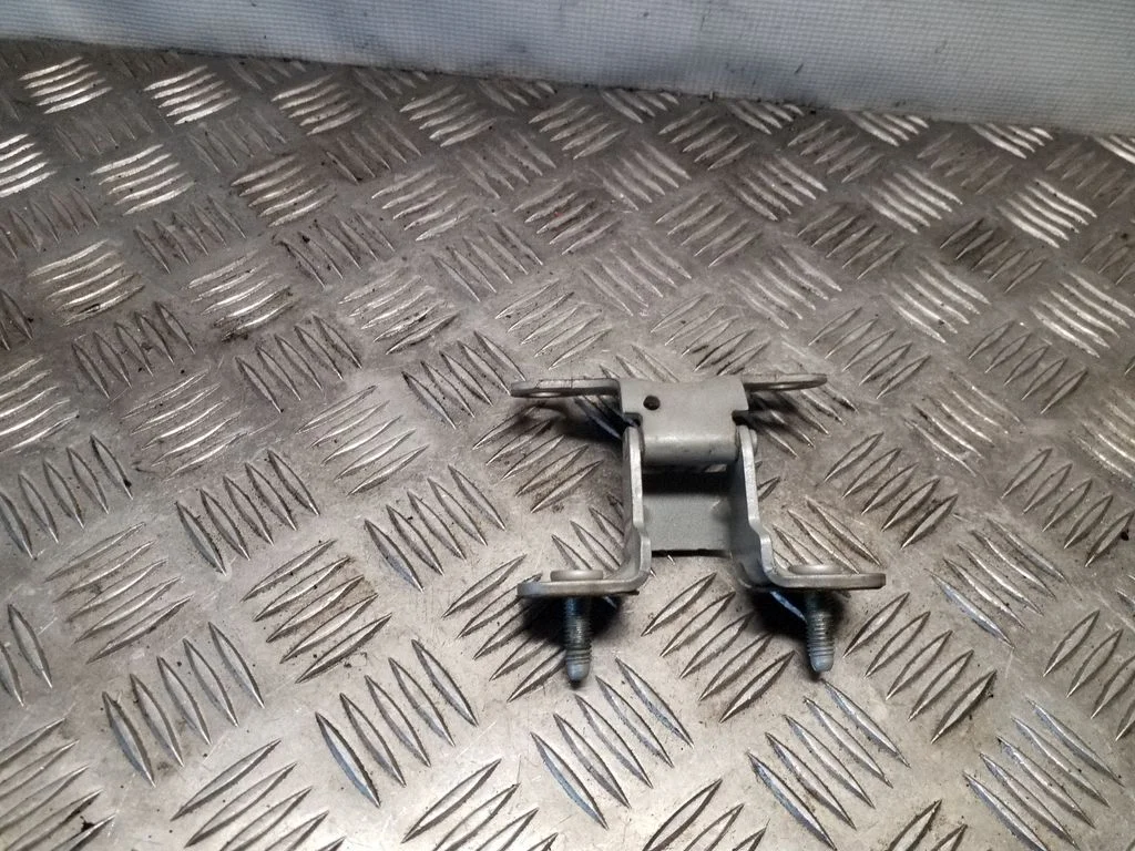 Tailgate/trunk/boot hinge