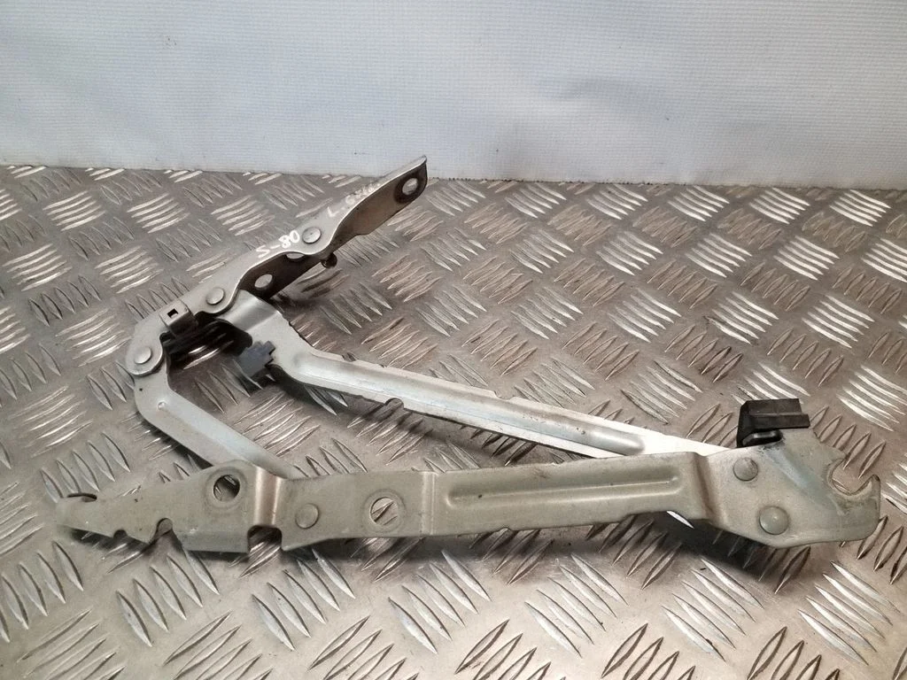 Tailgate/trunk/boot hinge – left