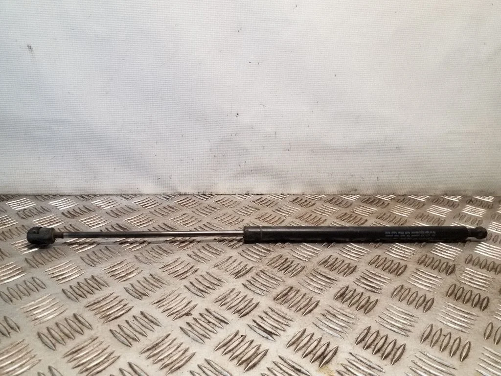 Tailgate/trunk strut/damper