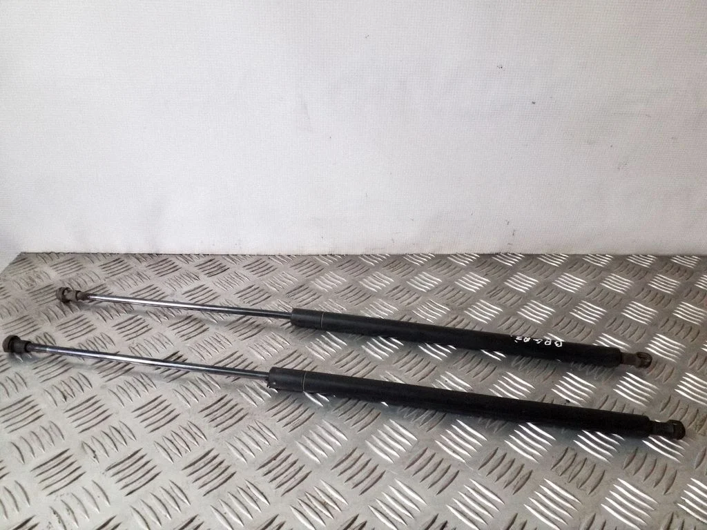 Tagaluugi gaasiamortisaator D56070