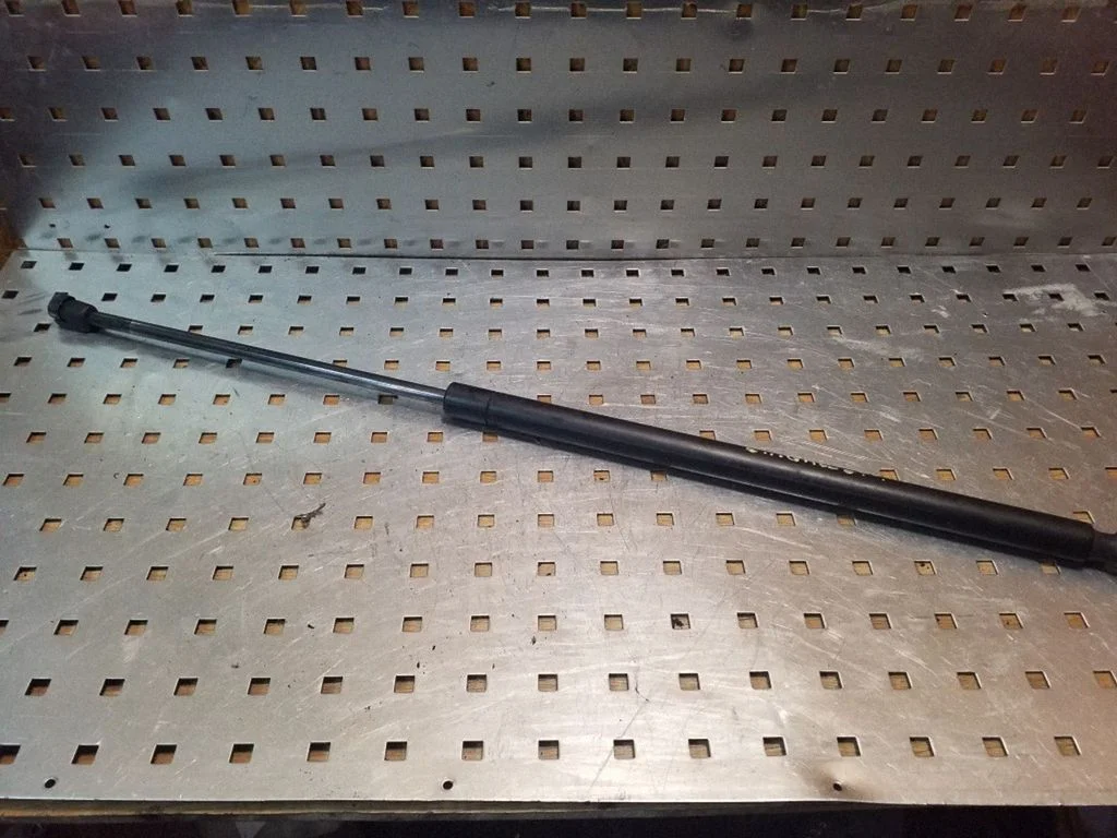 Tailgate/trunk strut/damper