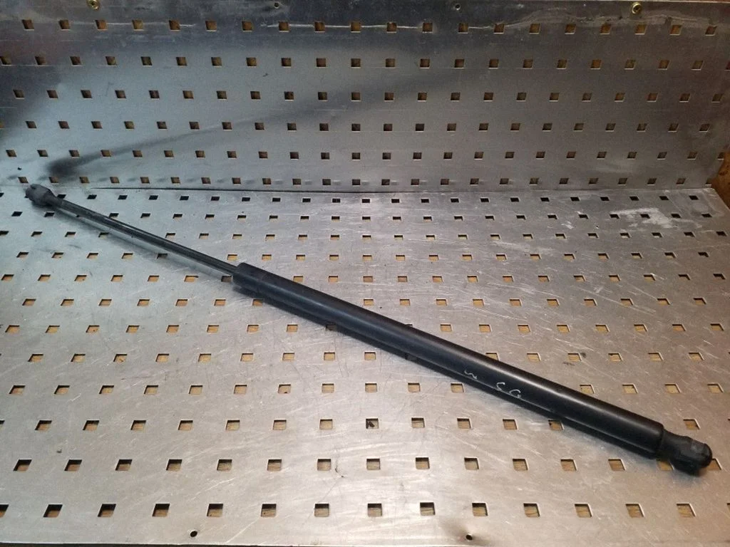 Tailgate/trunk strut/damper