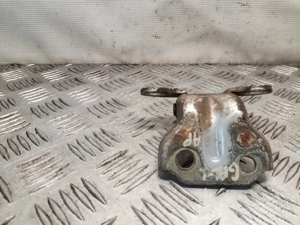 Rear door lower hinge – left