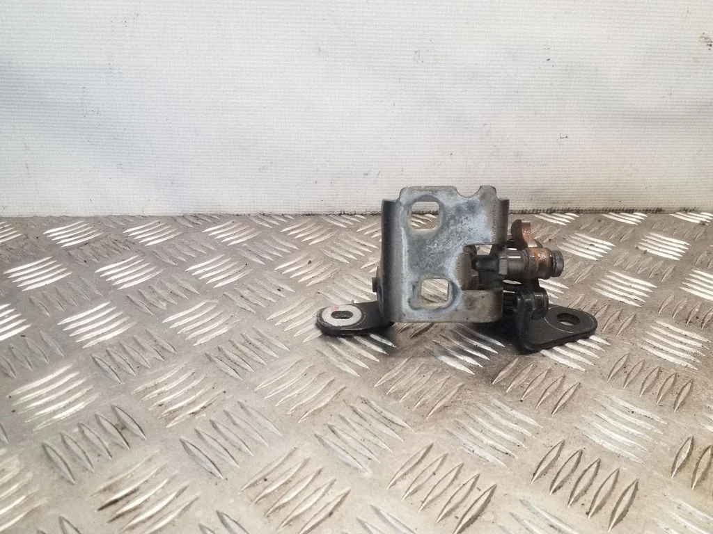 Rear door lower hinge 85574F