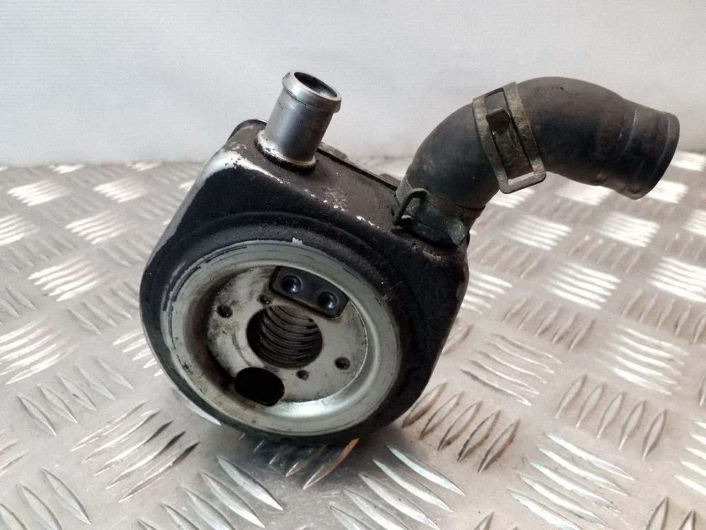 Oil filter mounting bracket