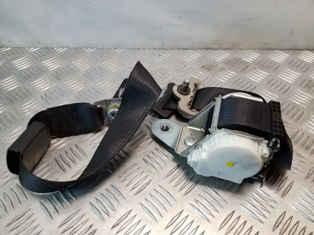 Tagumine turvavöö P1AF241DVAB