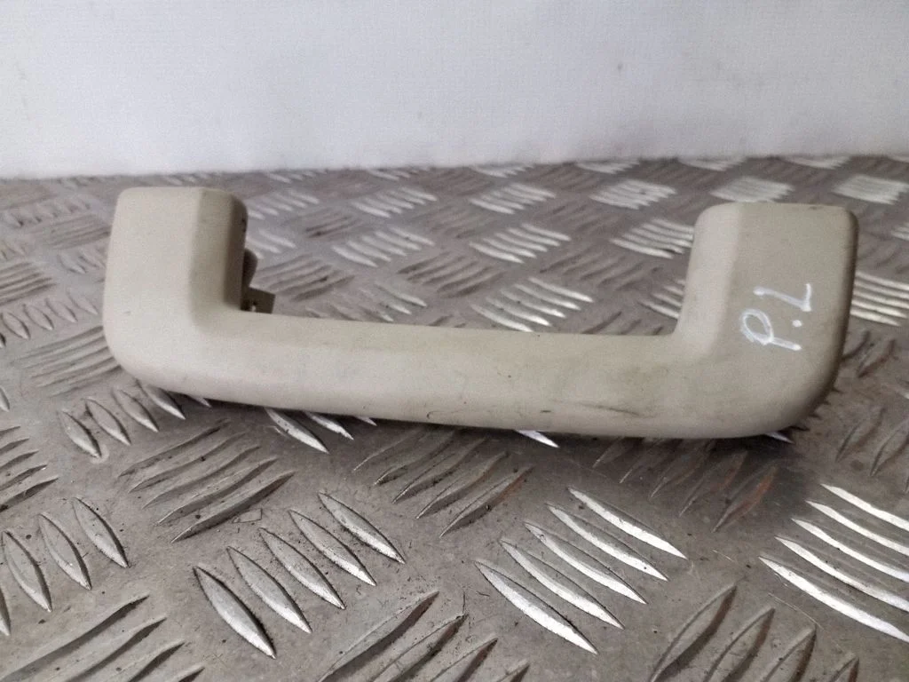 Front interior roof grab handle – left