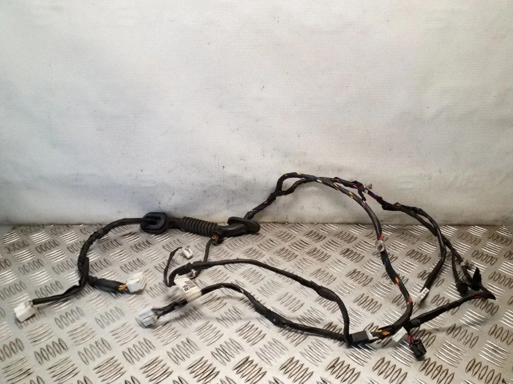 Priekšējo durvju vadu instalācija 91641H1060