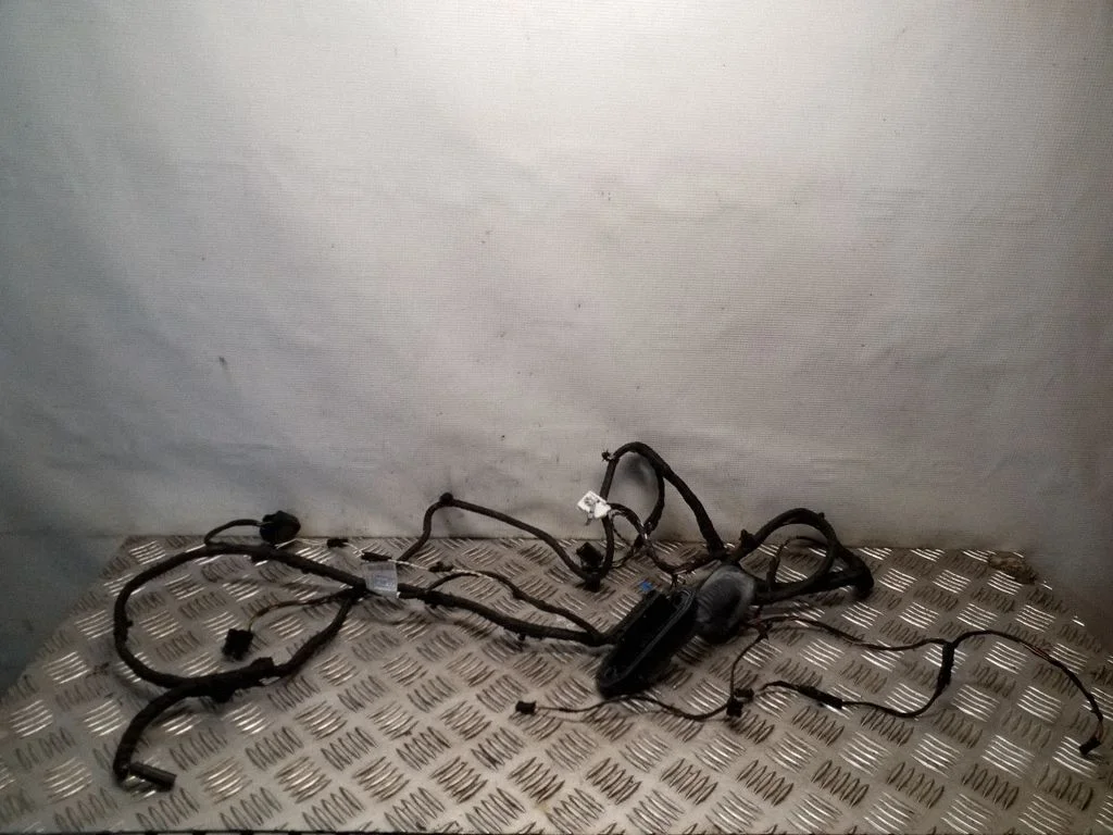 Front door wiring loom – BMW 5 Series F10 F11 (2009-2016)