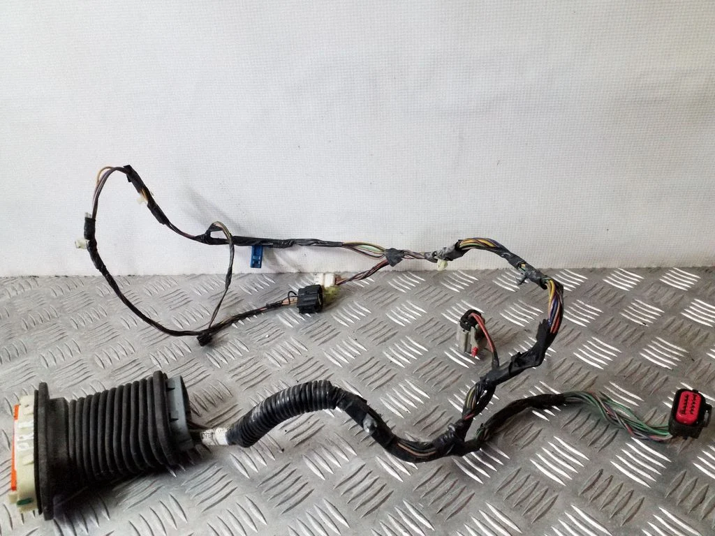 Front door wiring loom – right