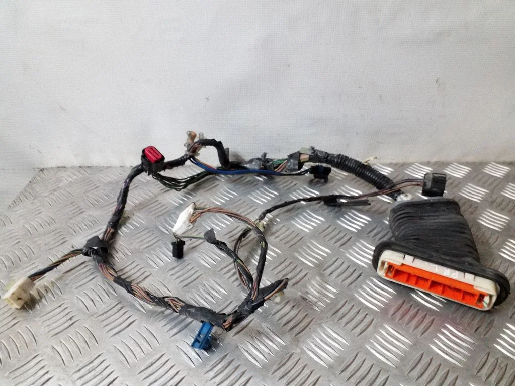 Front door wiring loom – left