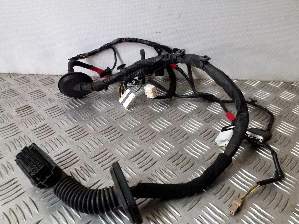 Esiukse juhtmestik 916002P330