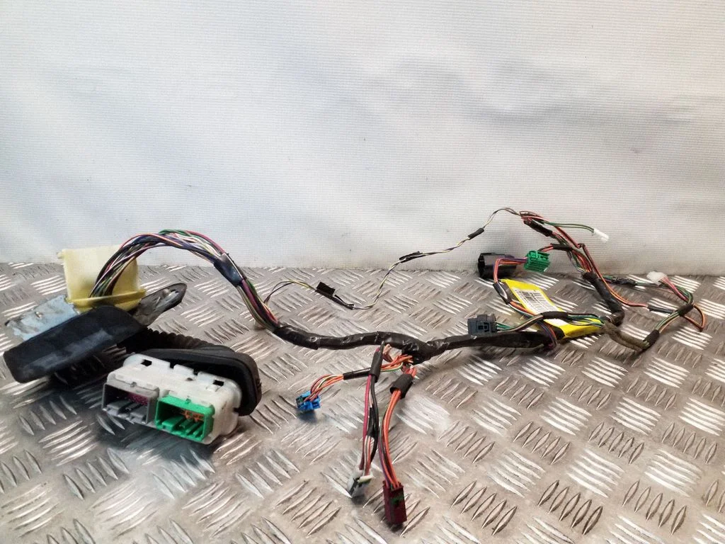 Front door wiring loom 04869359AF