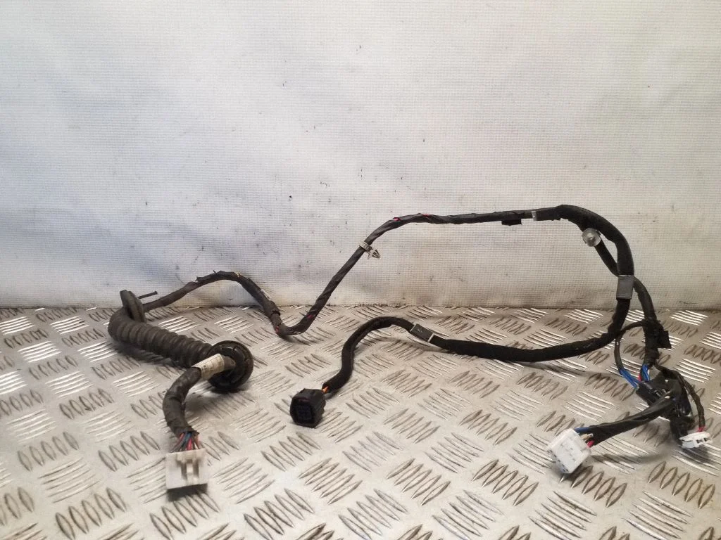 Aizmugurējo durvju vadu instalācija 91642H1011