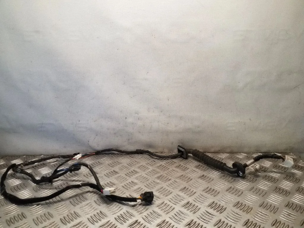 Aizmugurējo durvju vadu instalācija 91642H1011