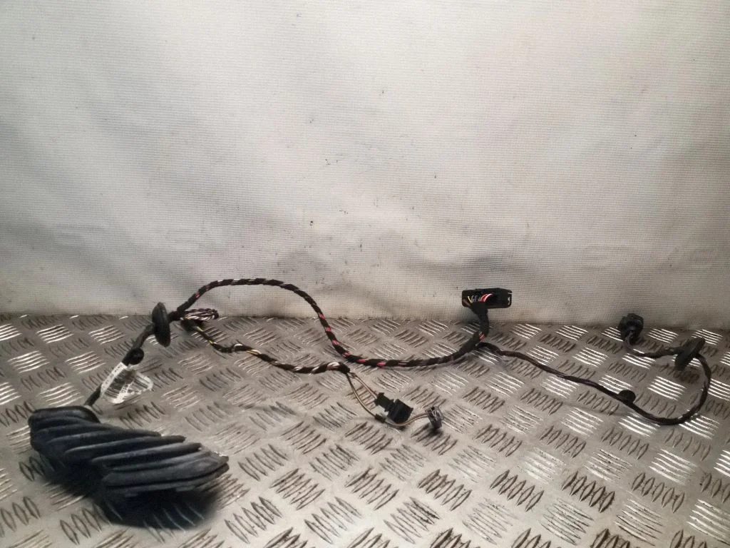 Aizmugurējo durvju vadu instalācija 1Z0161G