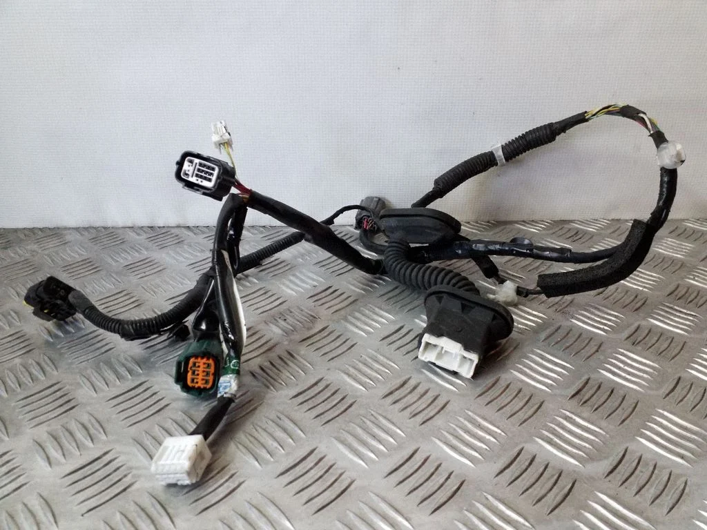 Rear door wiring loom – left