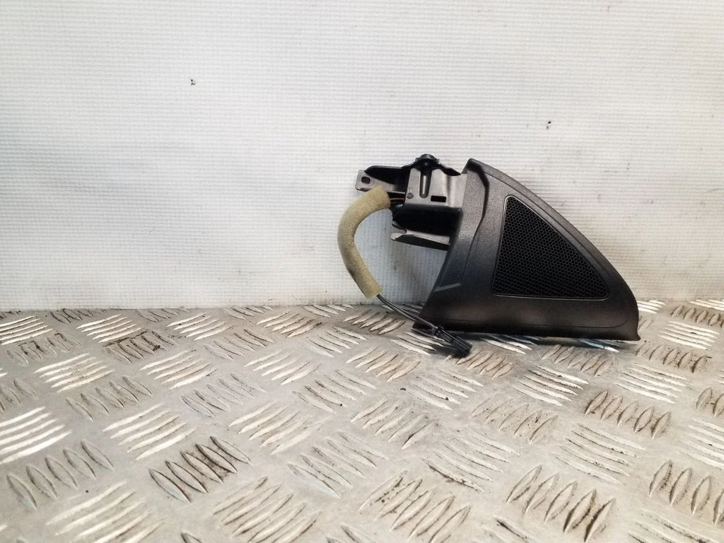 Front door speaker – Volkswagen Passat CC (2008-2016)