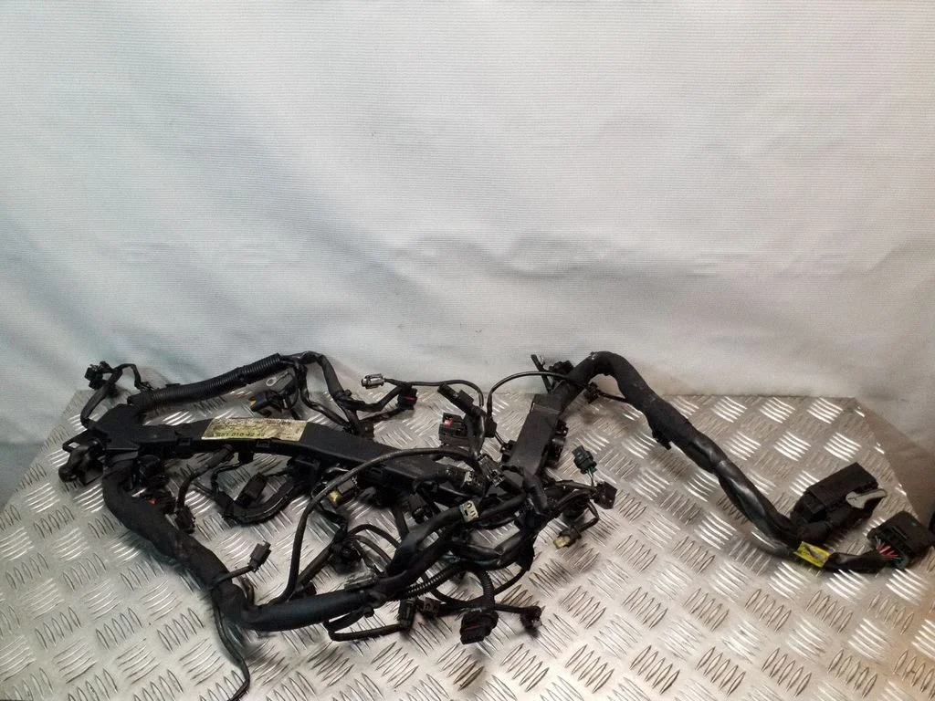 Mootori juhtmestik A6510104248