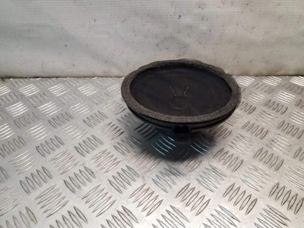 Rear door speaker