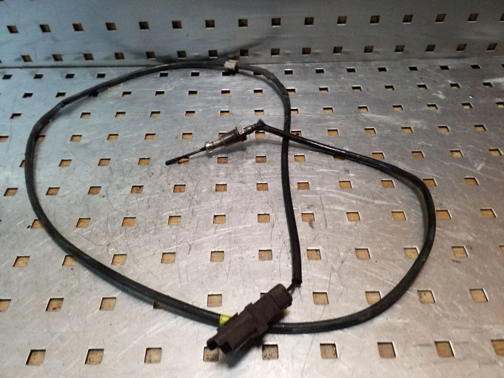 Exhaust gas temperature sensor – Citroen C5 (2008-2016)