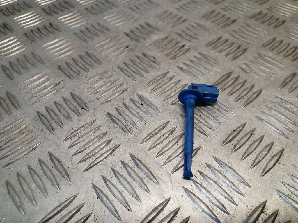 Salona temperatūras sensors 669119C734AA