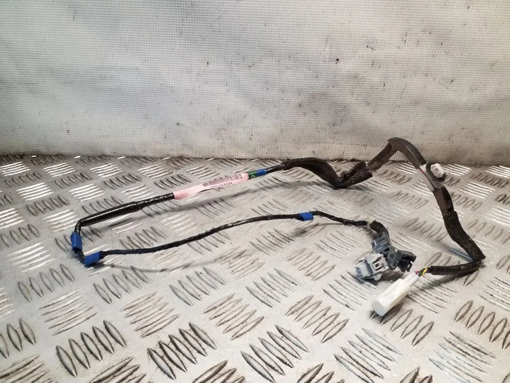 Other wiring loom – Lexus RX III (2008-2015)