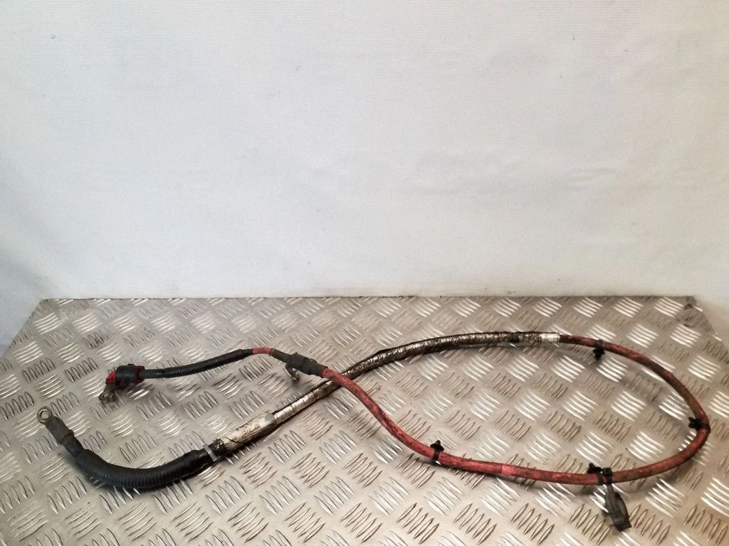 Other wiring loom CX2314305BB