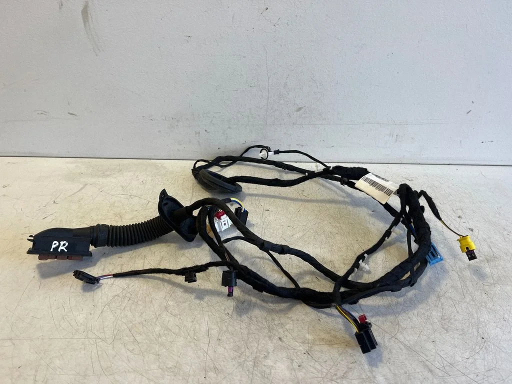 Front door wiring loom 4KE971029DT