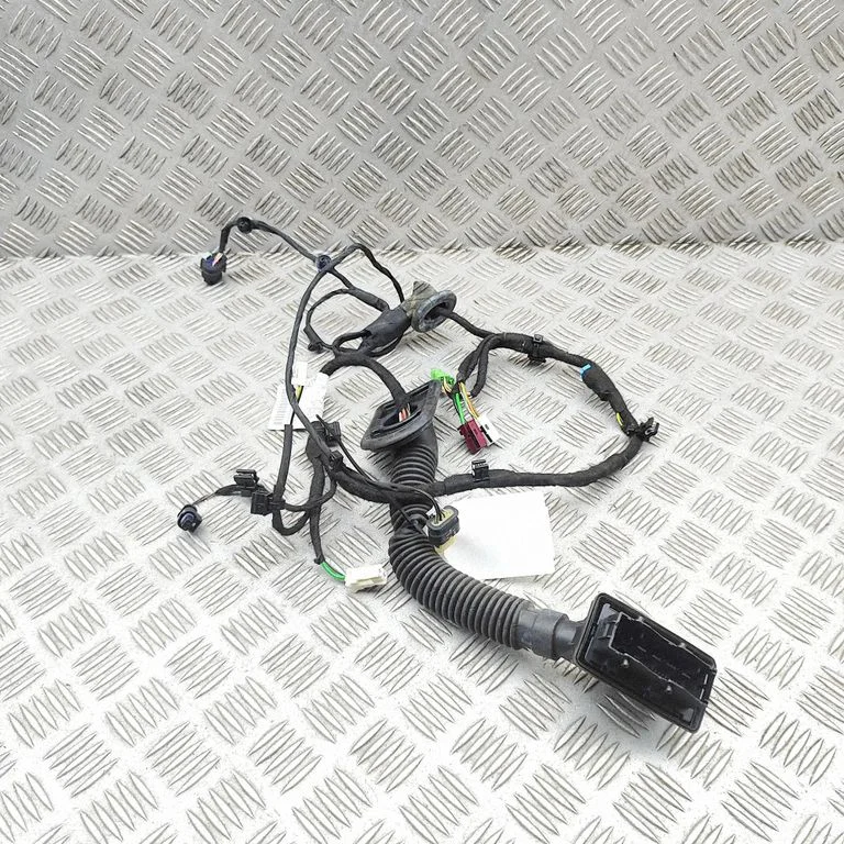 Priekšējo durvju vadu instalācija A2975405924