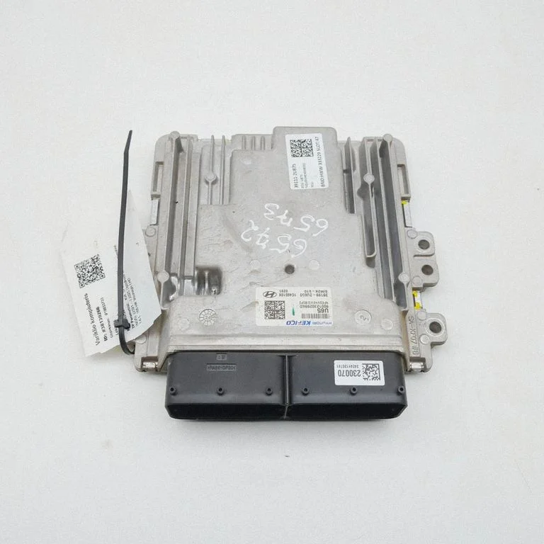 Engine control unit/module 391112U875