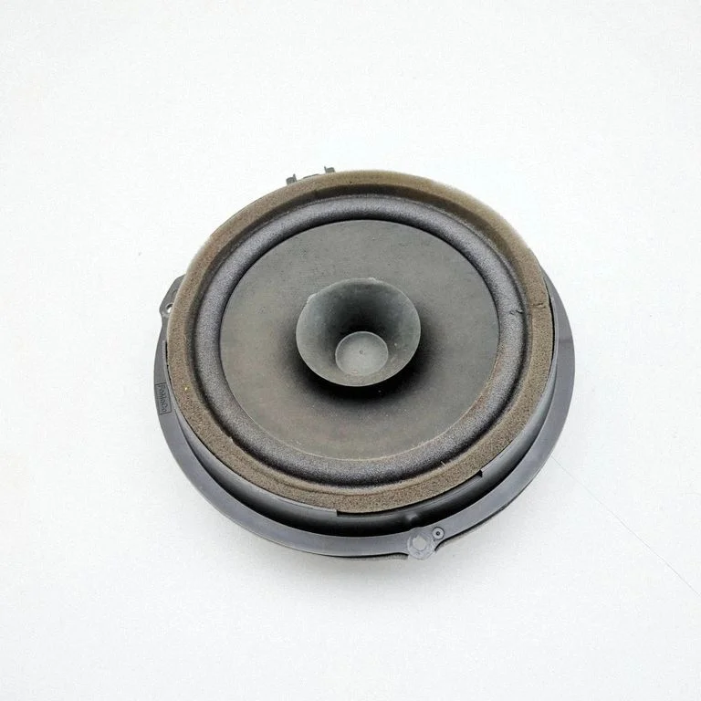 Skaļrunis (-ņi) aizmugurējās durvīs AA6T18808CA