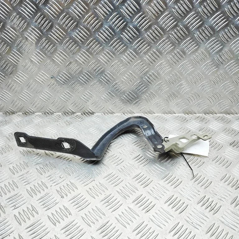 Motora pārsega eņģe (-es) 149626700C